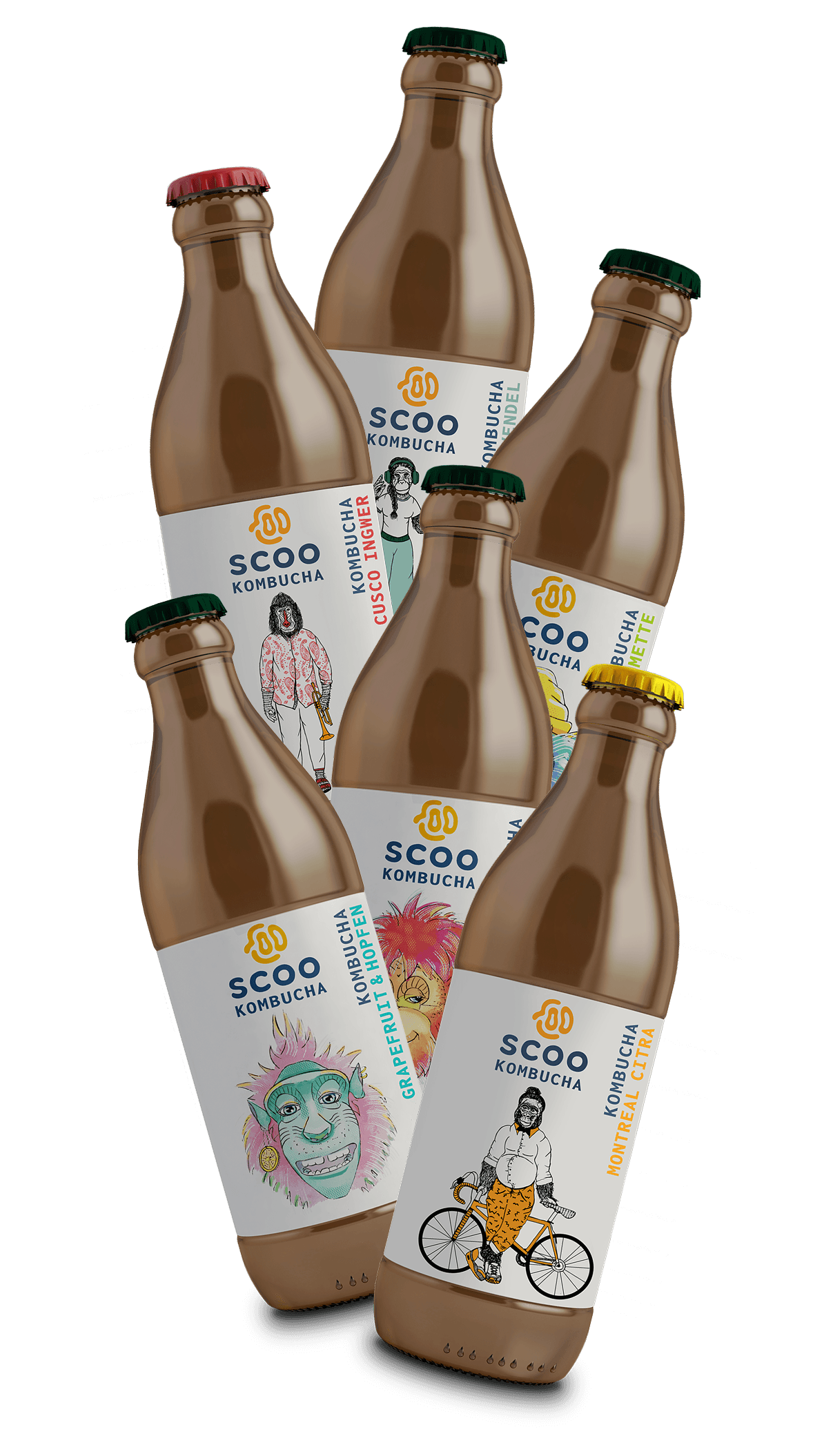 Bio Kombucha Probierkiste